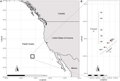 Depth Profile of Nitrifying Archaeal and Bacterial Communities in the Remote Oligotrophic Waters of the North Pacific